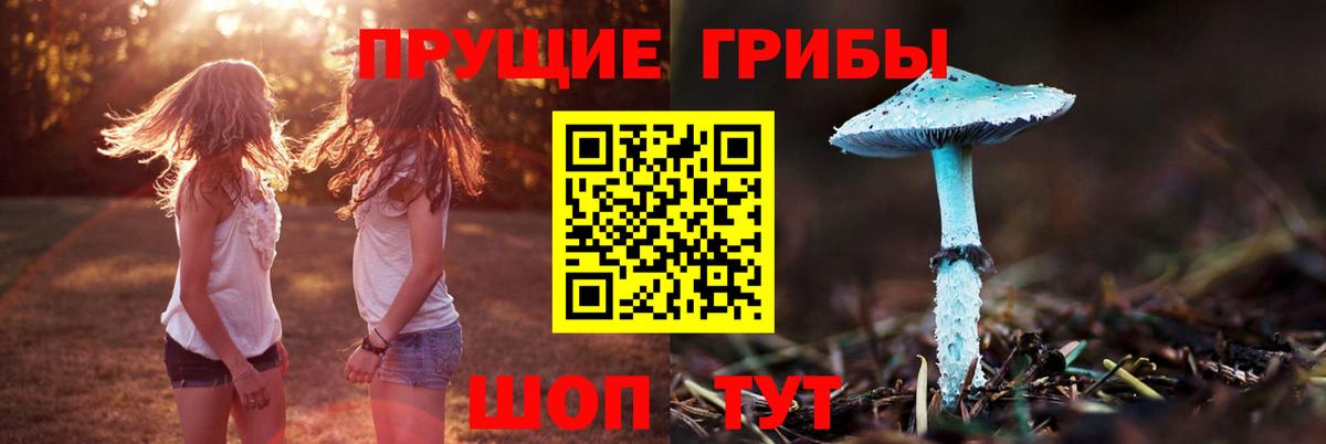 Псилоцибиновые грибы Cubensis Морозовск
